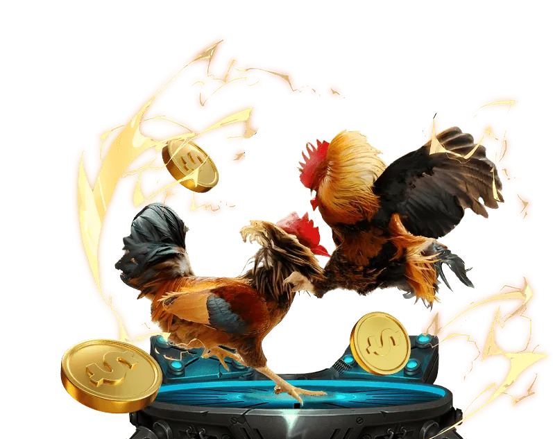 Ưu Đãi Chào Mừng Bongdalu 6